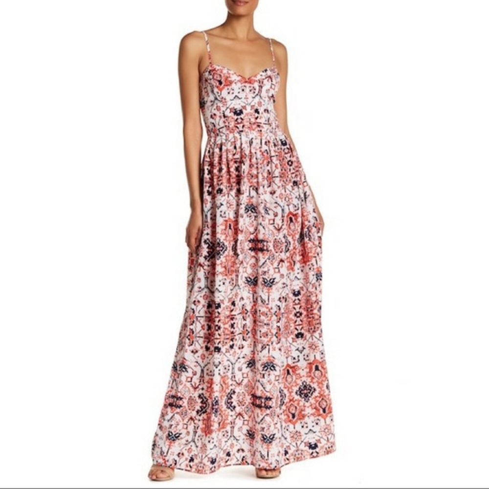 EUC Parker Silk Printed Maxi Dress